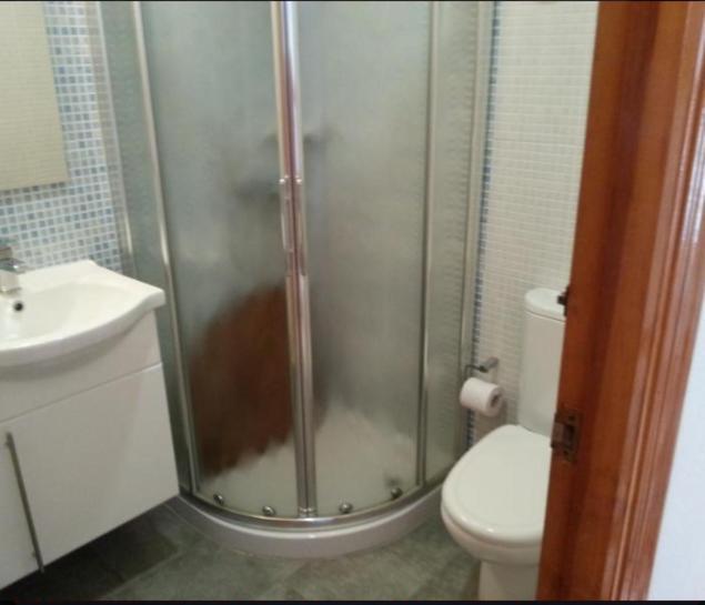 Apartamento En La Playa De San Jose-Sjjc Cameră foto